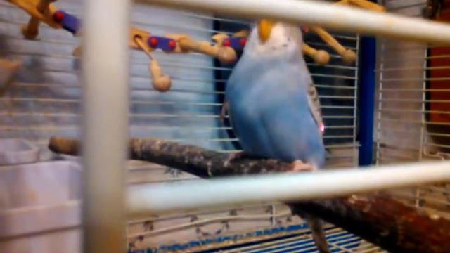 WP 20160220 030 смотреть онлайн