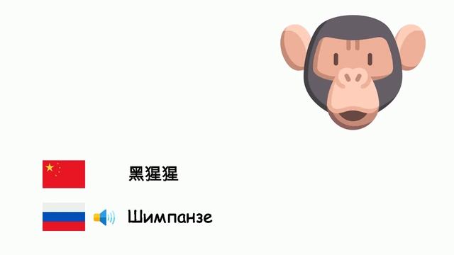 动物 (俄语) (zh-ru)
