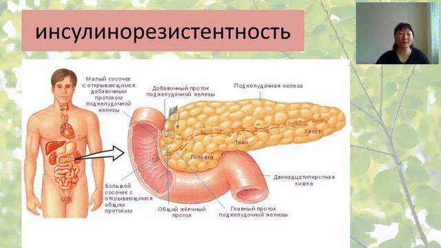 Три кита здоровья2021 01 27 1 смотреть онлайн