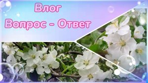 Влог. Вопрос - Ответ (@Ольга Ушакова)