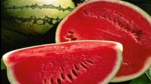 tarvuz va ekish sirlari. 🍉