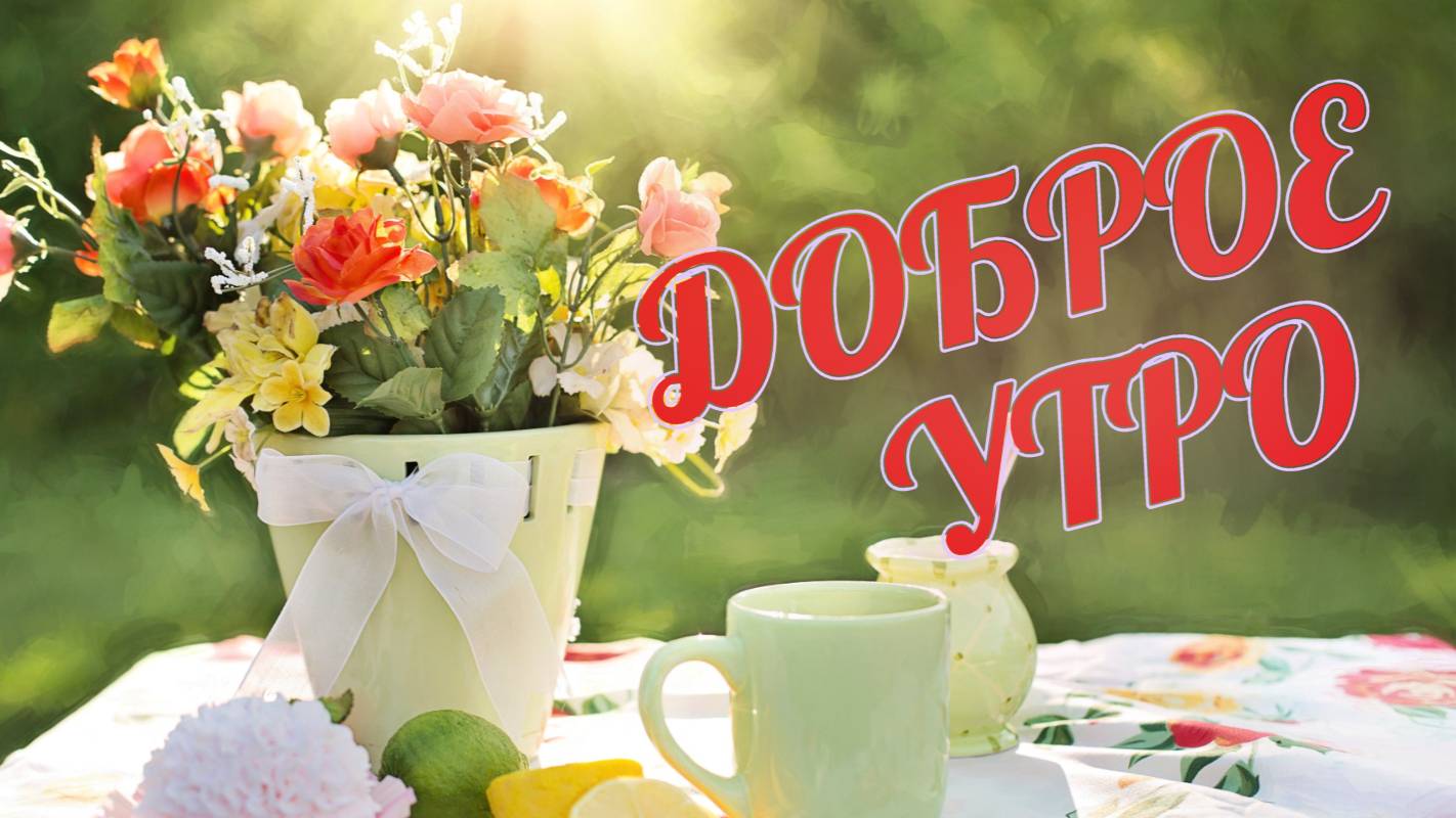 ДОБРОЕ УТРО Пусть утро будет нежным а день прекрасным Красивое пожелание с добрым утром смотреть онлайн