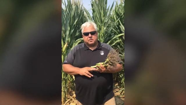 Managing Rootworm Population with Greg Peters смотреть онлайн