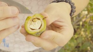 Как почистить грецкий орех и не испачкать руки?