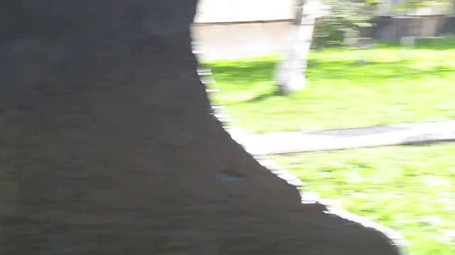 Сосновая аллея в честь ветеранов смотреть онлайн