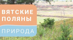 Природа Вятских Полян