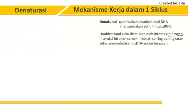 Bioteknologi - PCR - Materi Olimpiade Biologi SMA