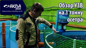 Обзор системы УЗВ на 19 кубов, 1 тонну осетра