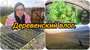 САМ БОГ СЕГОДНЯ НАС СЮДА ПРИВЕЛ 🤗 ПОСАДИЛА ЦВЕТЫ 🌺🏵️🌼 ВЫРУБАЕМ СТАРЫЕ ДЕРЕВЬЯ.