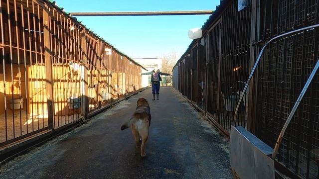 МАРТ В ПРИЮТЕ БИРЮЛЕВО. г. Москва смотреть онлайн