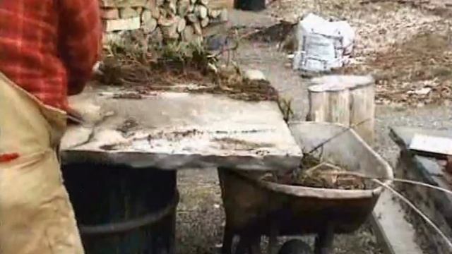 Horticulture - Hemericalis - Day Lillies смотреть онлайн