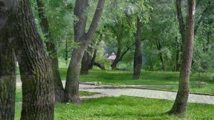 Лето в Хабаровске и его окрестностях