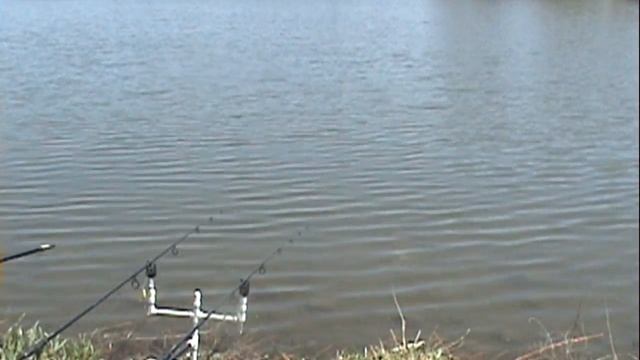 CarpQuest - S1E6 - Runyon Lake Carp Fishing смотреть онлайн