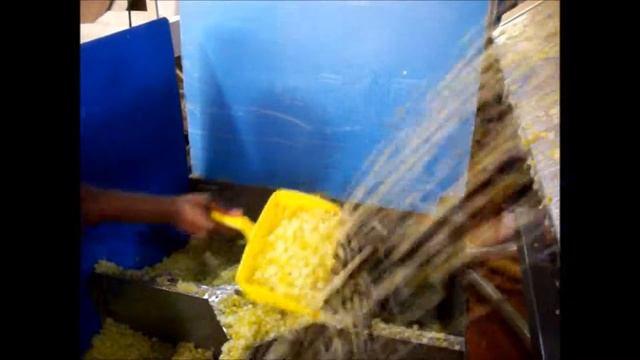 Citron Peel Sorting Raytec смотреть онлайн