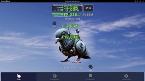 Я снимаю 3 часть про Итальянские Животные!