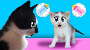 КОТ МАЛЫШ и его СЕКРЕТ ! КОШЕЧКА МУРЗЯ родила котенка Дайте ИМЯ милашке !  | А ну-ка давай-ка