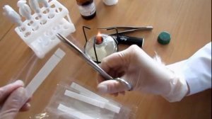 Индикаторная Бумага для определения БГКП.avi