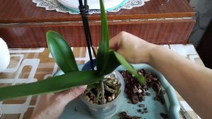 Подарок на мой День Рождения 🎂🥡💞