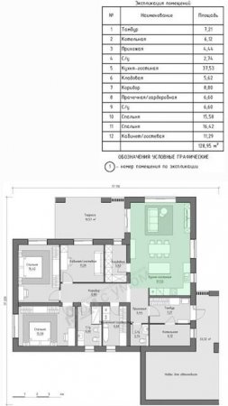 Проект "Пегас"