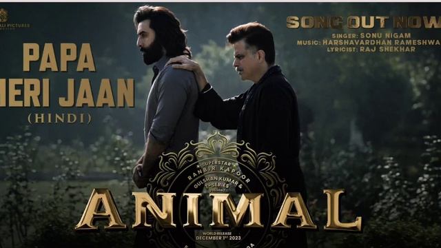 ANIMAL: papa mari jaan (lo-fi song) Ranbir Kapoor movie songs