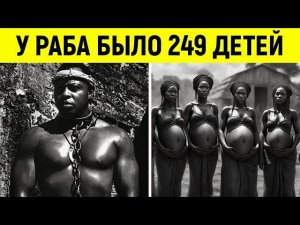 Самый плодовитый «племенной раб», у которого было 249 детей! Его использовали только для этого…