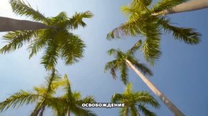 Недвижимость в Доминиканской Республике. Почему выгодно купить квартиру в Доминикане.