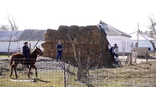 5 күннің ішінде қартайып кеттім  Қалдыбек Құрманәлі  Алғашқы