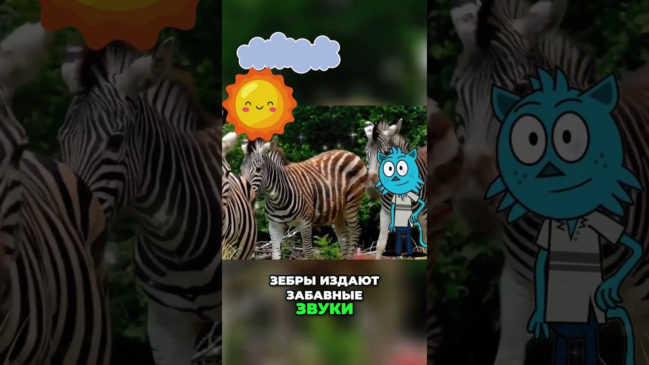 Почему у зебр полоски? ✨ Удивительные тайны природы!