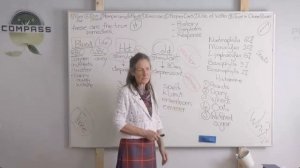 6_ЧАСТЬ_БАРБАРА О'НИЛЛ__ВОДА,_АЛЛЕРГИЯ И ВОСПАЛЕНИЕ