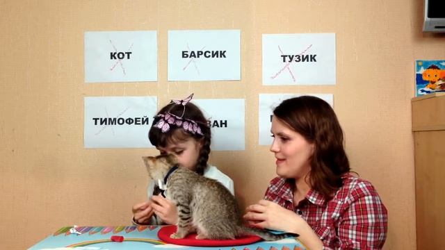 Как выбрать имя котенку смотреть онлайн