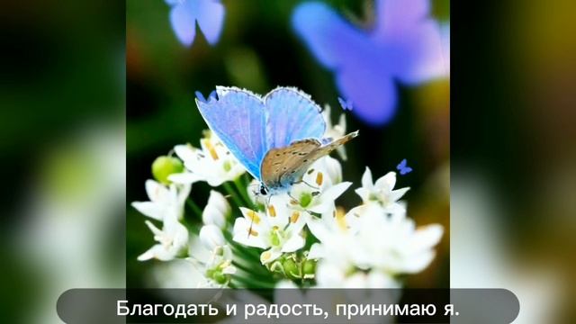 In_the_arms_of_God - Новая Жизнь (official music video)