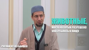 Животные, мясо которых разрешено употреблять в пищу