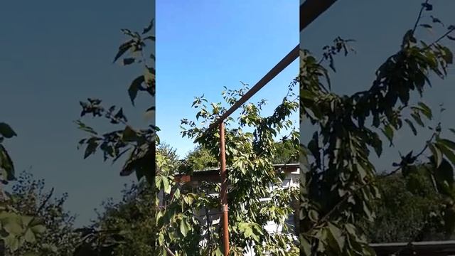 12 сентября 2020 г. смотреть онлайн