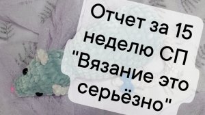 отчёт за 15 неделю СП "Вязание это серьёзно"