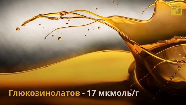 Рапс Чемпион Украины 🌾, описание сорта 🌾 - семена в Украине смотреть онлайн