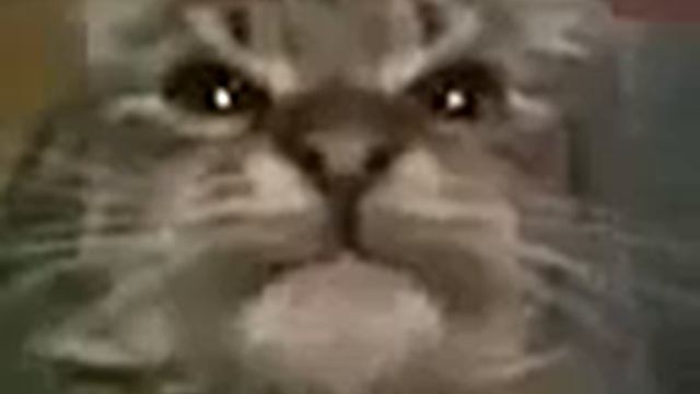 Кит, ты маму мав? (Оригинал) смотреть онлайн