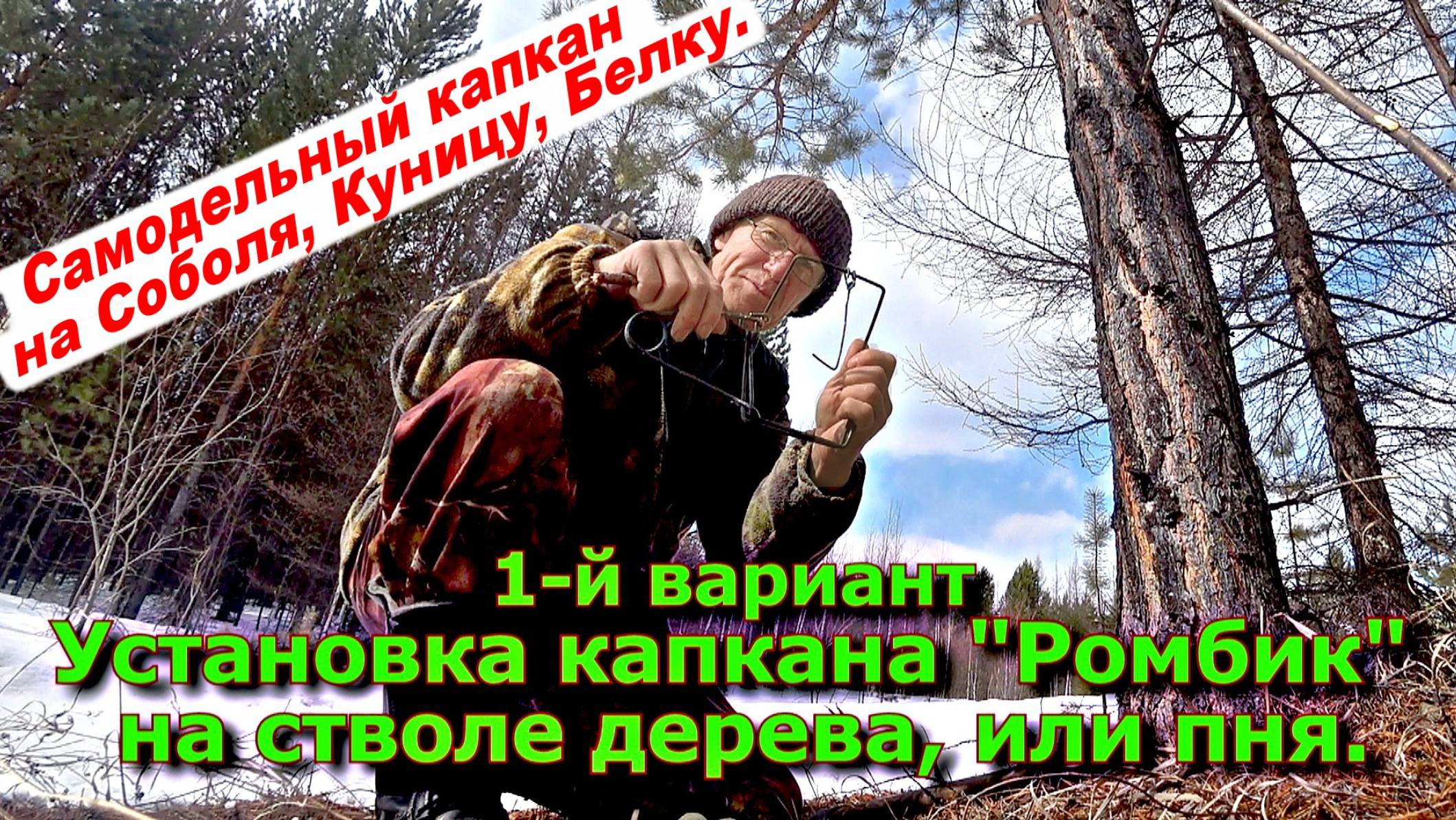 1-й вариант Установка капкана Ромбик на стволе дерева или пеньке.