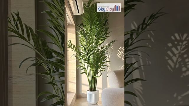 Small space? Big style! Check out these clever home decor hacks to maximise your space🏠🪴