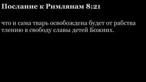 Послание Римлянам, глава 8