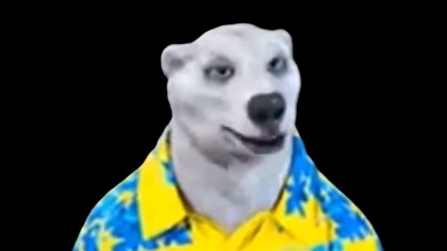 ВАЖНОЕ СООБЩЕНИЕ ОТ ХОДИЛКИ БРОДИЛКИ смотреть онлайн