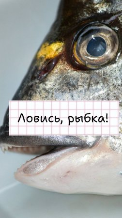 Зимняя рыбалка - это любовь!