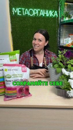 Какие и сколько овощей нужно выращивать на семью