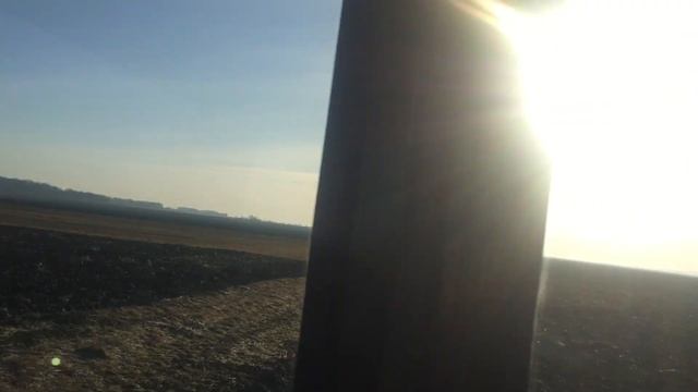 Підживлення пшениці румом