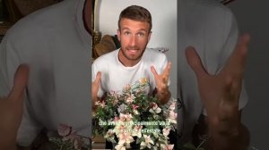 Trachelospermum tricolor