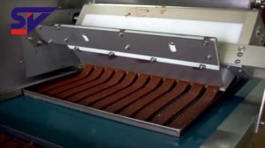 Машина для формовки, резки фруктовых батончиков RoboForm Mono