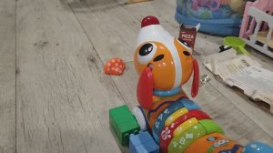 играем в детскую интерактивную игрушку для малышей музыкальную собаку
