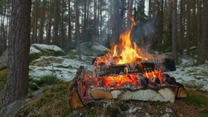 📺 Природный лесной камин 🔥Успокаивающие звуки огня улучшают сон