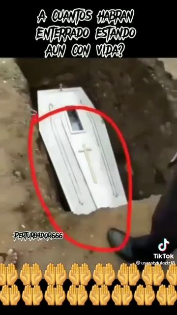 1 мая 2022 г. смотреть онлайн