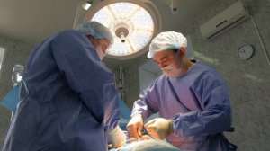 Курс на здоровье 3 (2025)