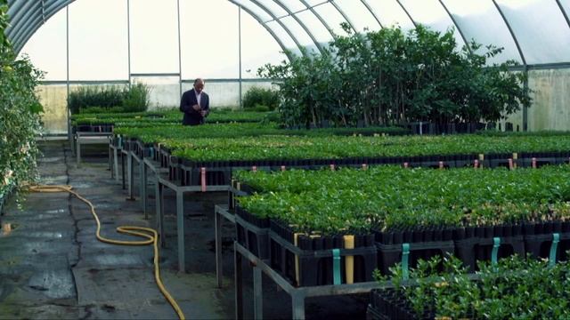 Mani Skaria: The father of 'clean' citrus in Texas смотреть онлайн